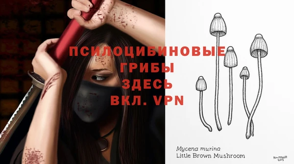 гидропоника Горняк