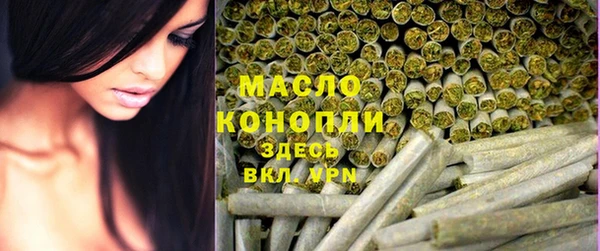гидропоника Горняк