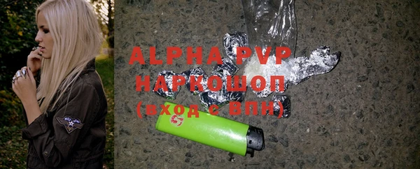 спайс Гусев