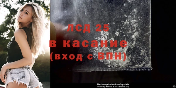 спайс Гусев