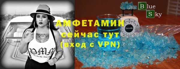 индика Вязьма