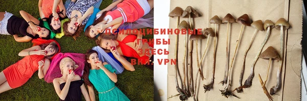 молекула духа Горно-Алтайск