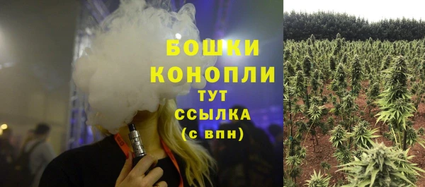 молекула духа Горно-Алтайск