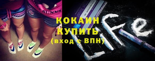 гидропоника Горняк