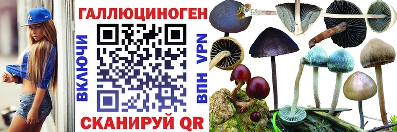 Псилоцибиновые грибы ЛСД  где купить наркоту  Ахтырский 